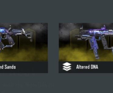 What skin has the better iron sights?