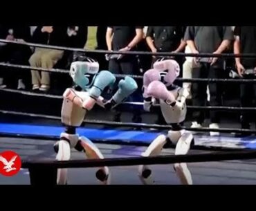 World's first robot kickboxing tournament held in China