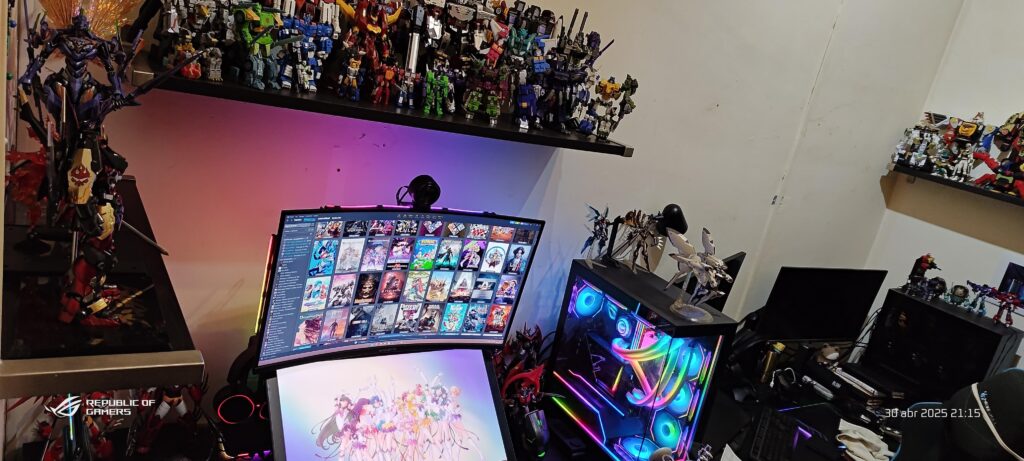 Why does everyone seem to live in mansions? My house is old and rented. The only thing I can do is decorate myself with figures.