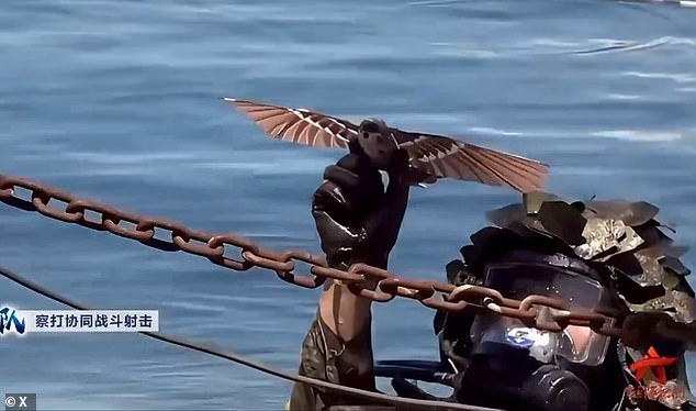 The birds were unveiled by China in August last year during the founding anniversary of the People¿s Liberation Army