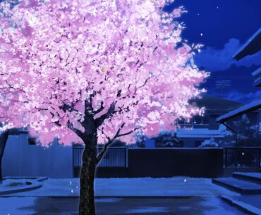 Dreaming in Cherry Blossoms, I Fall in Love with You launches in June