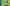 Fantasy-life-i-banaan-cave-map-location.jpg