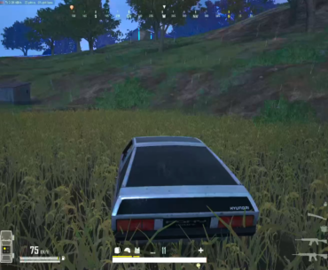 Pubg'd