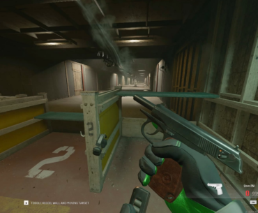 We need reduction of visual recoil on pistols. You literally can't see your target.