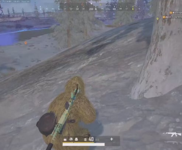 Chicken from the recent airdrop ambush video