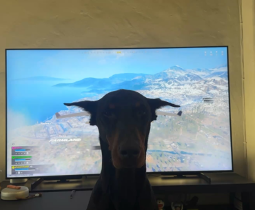 I got this problem trying to deploy