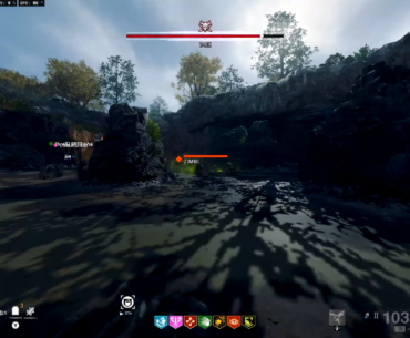 joined a public match; even in the flow state none of my weapons have ever done this much damage...