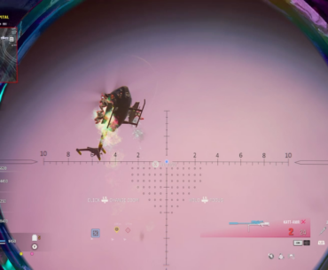 Fly little bird, FLY!!!