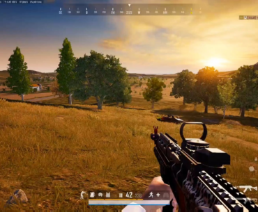 Nice 6 kills pinned on tree
