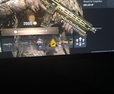 Captain Price - All Ghilled Up Skin