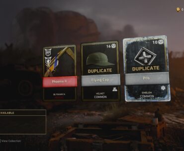 After eight years I finally have every gun in the game