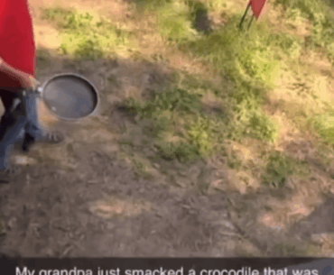 Gordon Ramsay ain’t got nothing on this skillet swing.