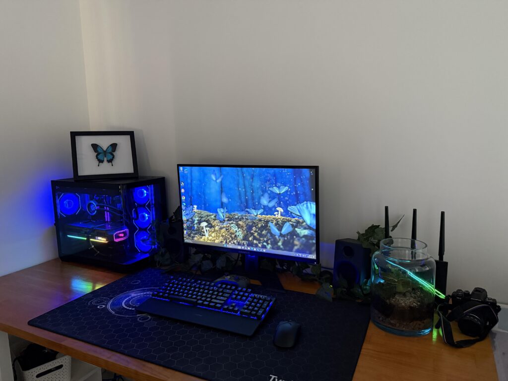 My current work in progress