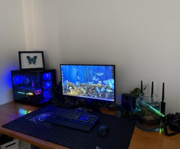 My current work in progress