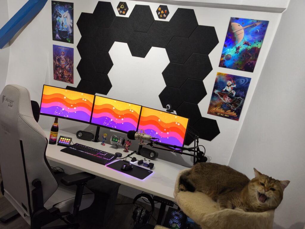 Lovin my Setup, Cat does too