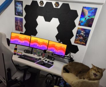 Lovin my Setup, Cat does too