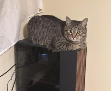 I get doing it when it’s on as a heat source but just because?