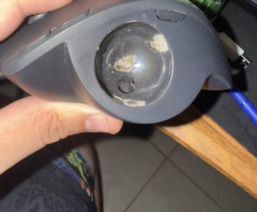 Wife’s mouse stopped “working”