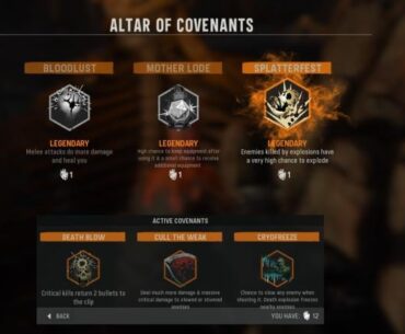 Anyone else think the covenant system from vanguard should return?