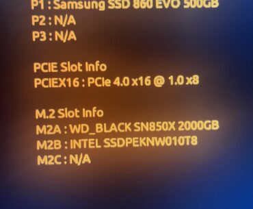 PCIE 16x slot running my 4070 ti at x8 1.0.