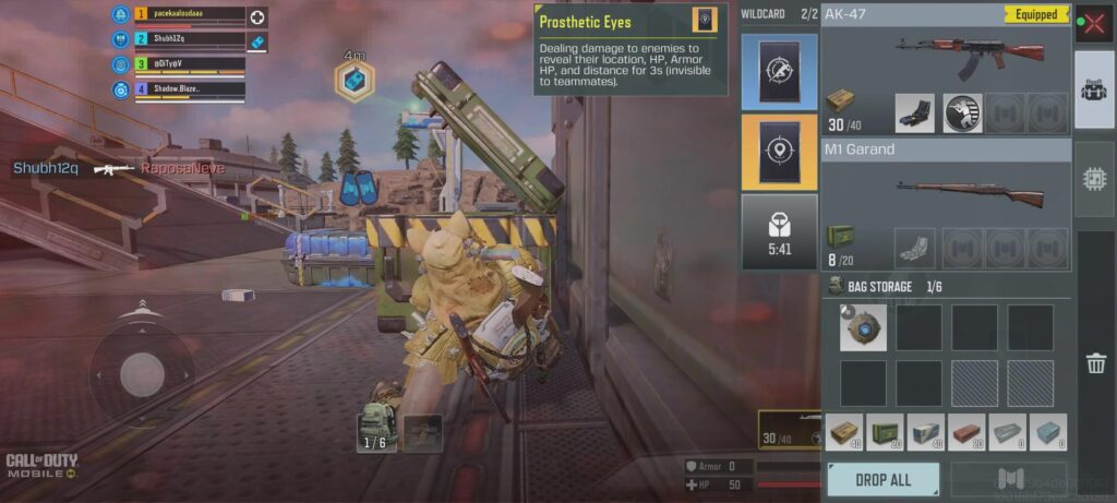 About wildcards in BR