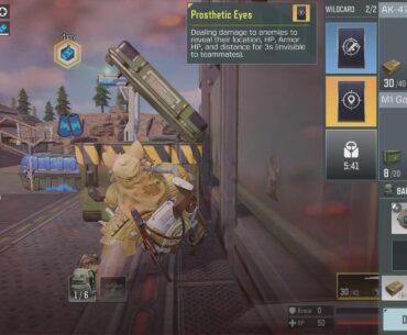 About wildcards in BR