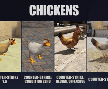Chicken evolution since CS 1.6