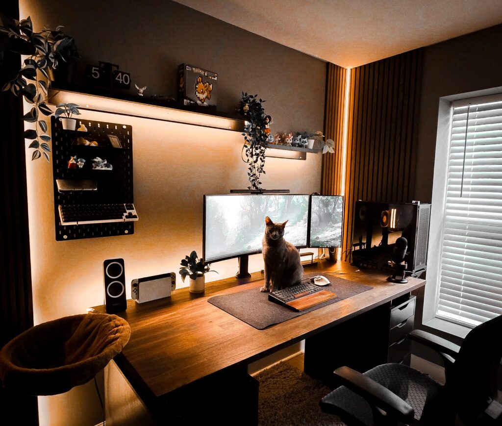new room, new setup