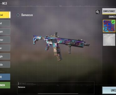 I got the Damascus skin