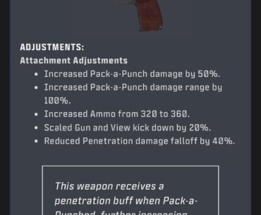 I wonder what other unique pap abilities we missed because I never seen anyone reveal the that 9mm pistol had a penetration pap ability