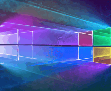 Windows 20