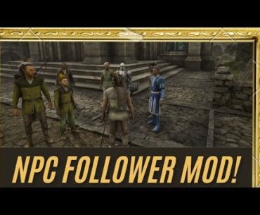 Oblivion Remastered - The Fellowship of the NPC Followers