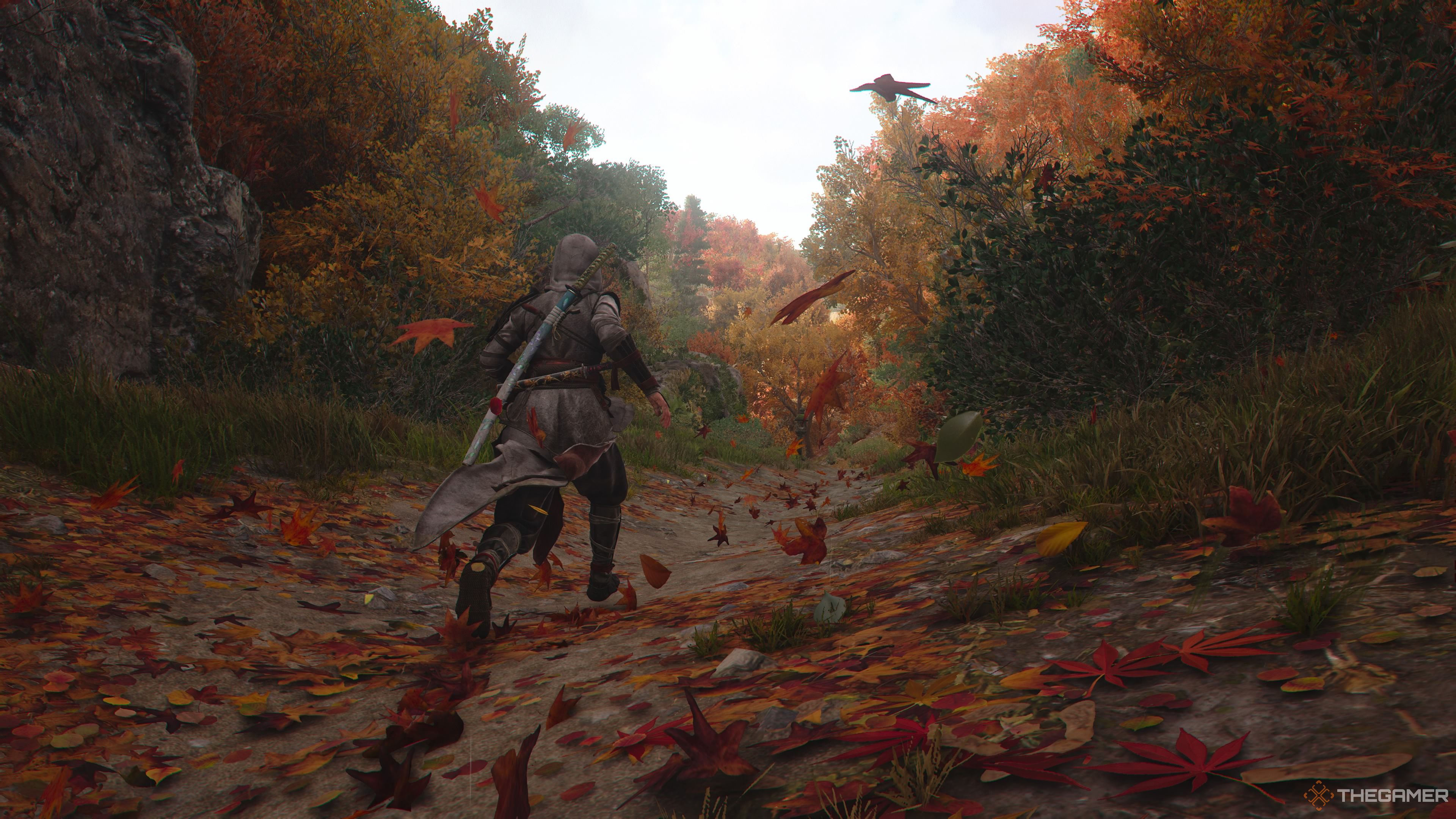 Walking through the wilderness in Assassin's Creed Shadows