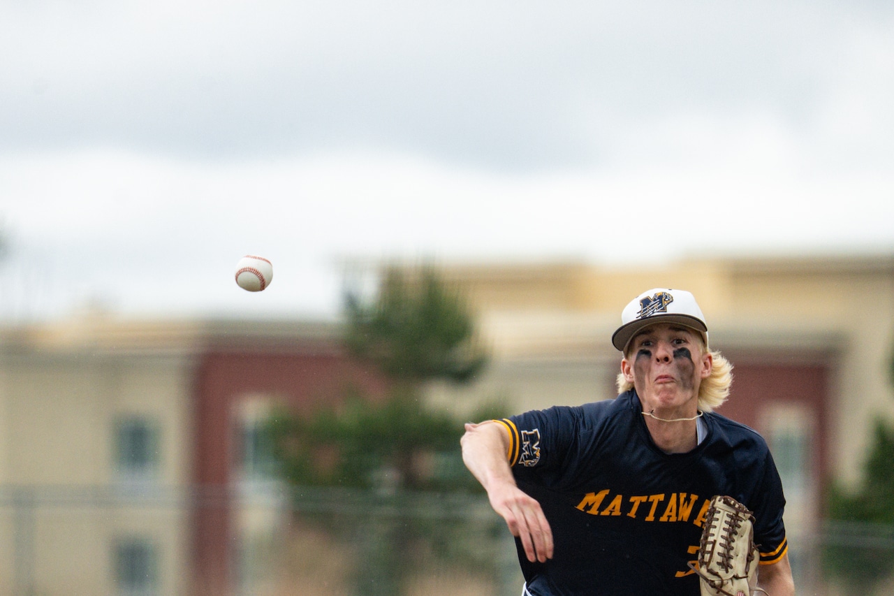Four Kalamazoo-area baseball teams advance to regional championship games Four Kalamazoo-area baseball teams advance to regional championship games