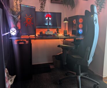 My nook ft cat