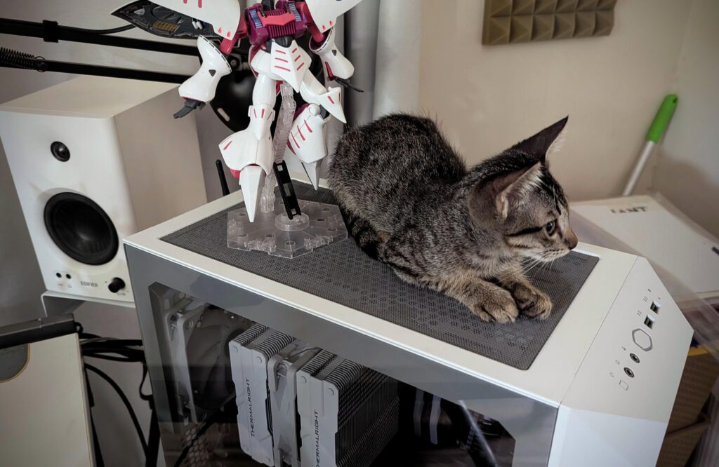 Whats with cats and PCs Whats with cats and PCs