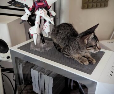 Whats with cats and PCs