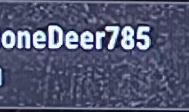 Team killer