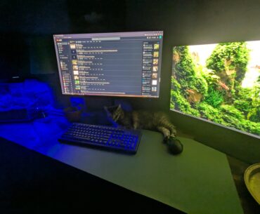 No master plan, but I'm pleased with how it's turned out. No zoom plz. Couldn't minimize without disturbing the populace.