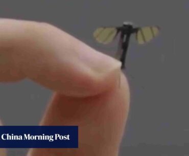 Chinese military robotics lab creates mosquito-sized microdrone for covert operations