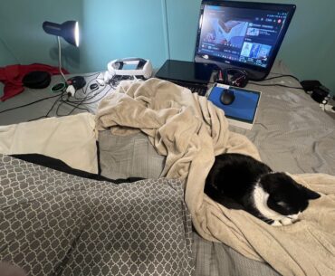 I have hundreds of hours on this setup. $8 monitor from a thrift store… old Logitech 935’s, HP omen 16 w/4070 and broke screen, razer naga hyperspeed v2, and my quest 3! Enjoy :)