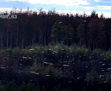 The "Web of war". Serebryanka forest covered in drone wire