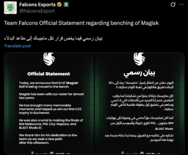 Falcons bench Magisk