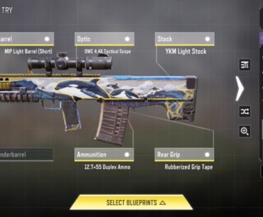 I make Oden Rifle a long-range assault rifle lol