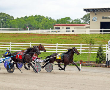 Oak Grove Racing & Gaming Hosts $150K Showdowns as Women Layer, Woman of Passion Eye Series Sweeps in Kentucky Sire Stakes Finals - Clarksville Online