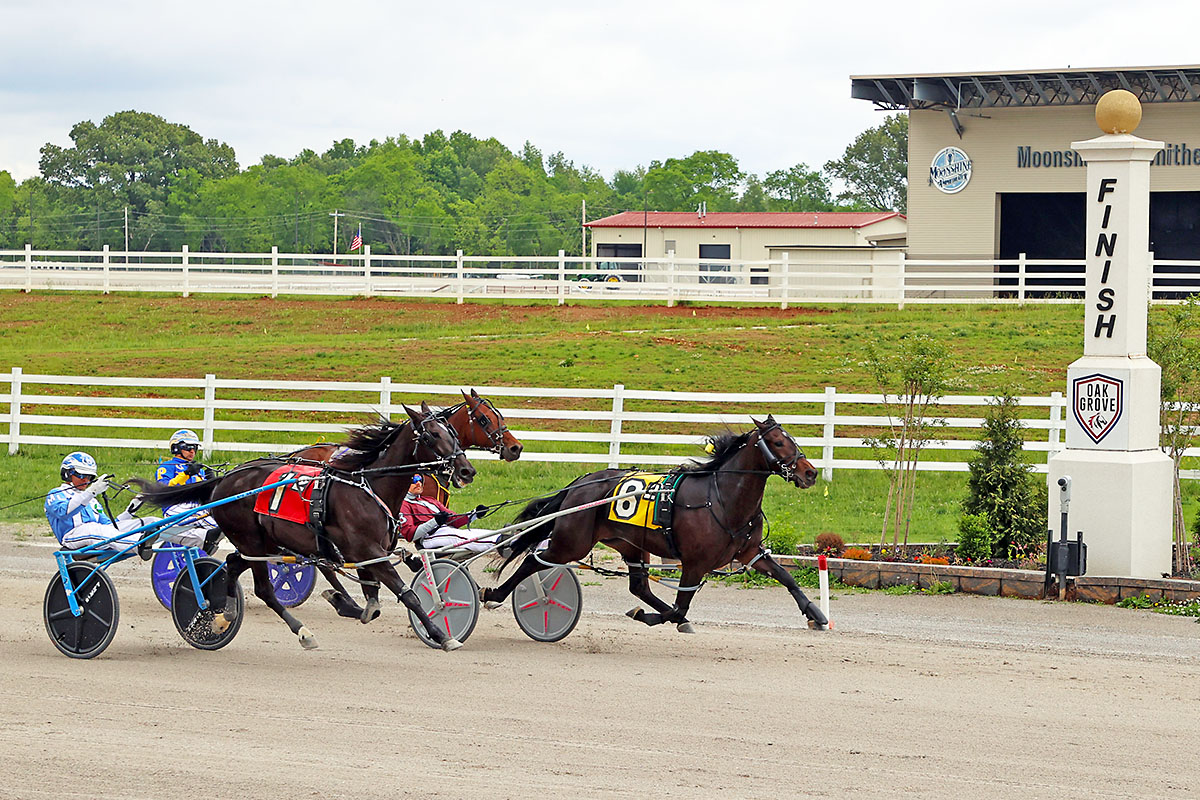 Oak Grove Racing & Gaming Hosts $150K Showdowns as Women Layer, Woman of Passion Eye Series Sweeps in Kentucky Sire Stakes Finals – Clarksville Online Oak Grove Racing & Gaming Hosts $150K Showdowns as Women Layer, Woman of Passion Eye Series Sweeps in Kentucky Sire Stakes Finals - Clarksville Online
