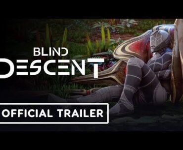Owlcat Games & META Publishing announce Blind Descent
