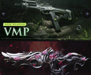One Month of the VMP