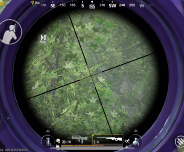 Awm Car Snipe