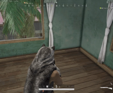 Shotgun Time